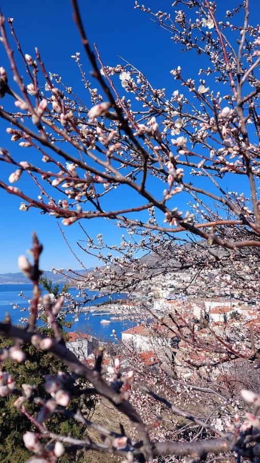센 Milojka 아파트 외부 사진